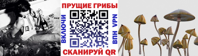 Галлюциногенные грибы ЛСД  Купить закладки  Инза 